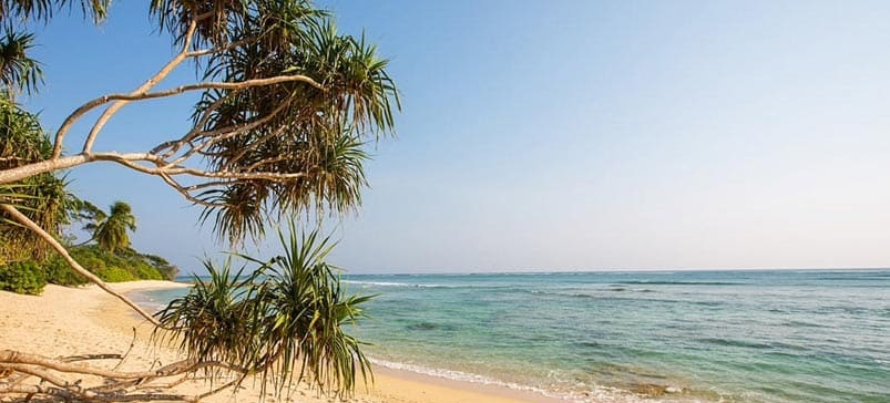 Ramnagar Island