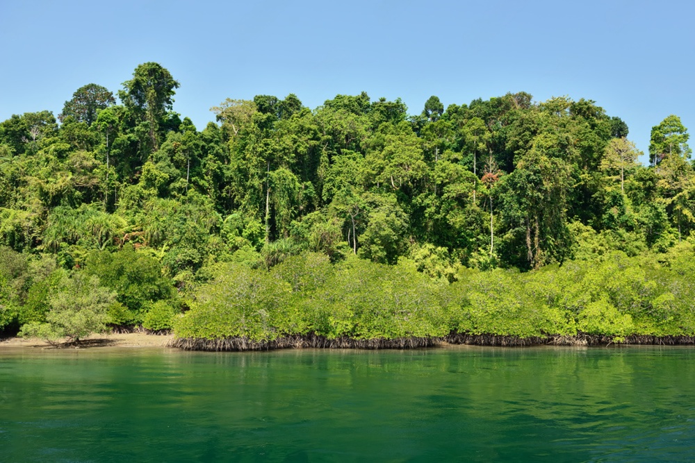 Baratang Island