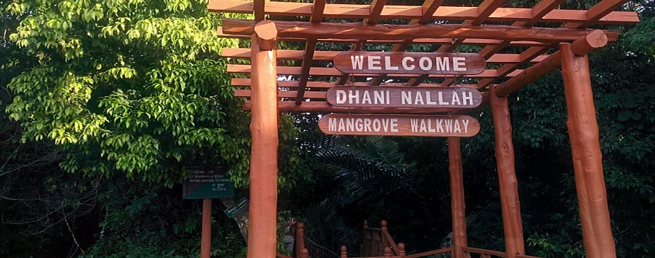 Dhanni Nallah