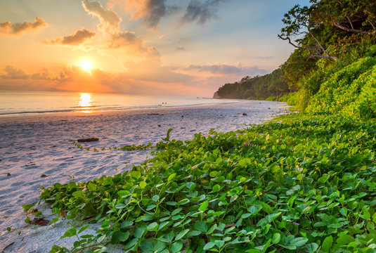 Port Blair City Tour with Havelock Day Trip